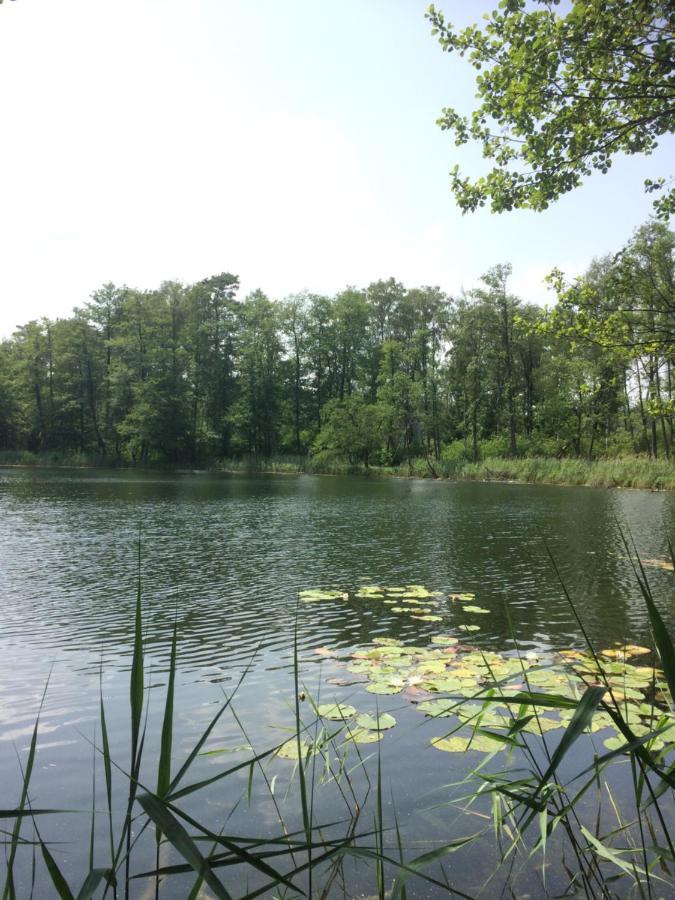 Bed and Breakfast Satnatorium Tuczno Экстерьер фото